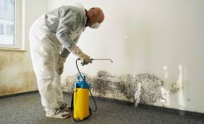 Why You Should Choose Our Mold Remediation Services in Elim, PA