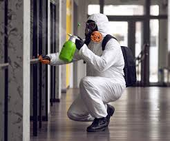 Best Mold Prevention Services in Elim, PA